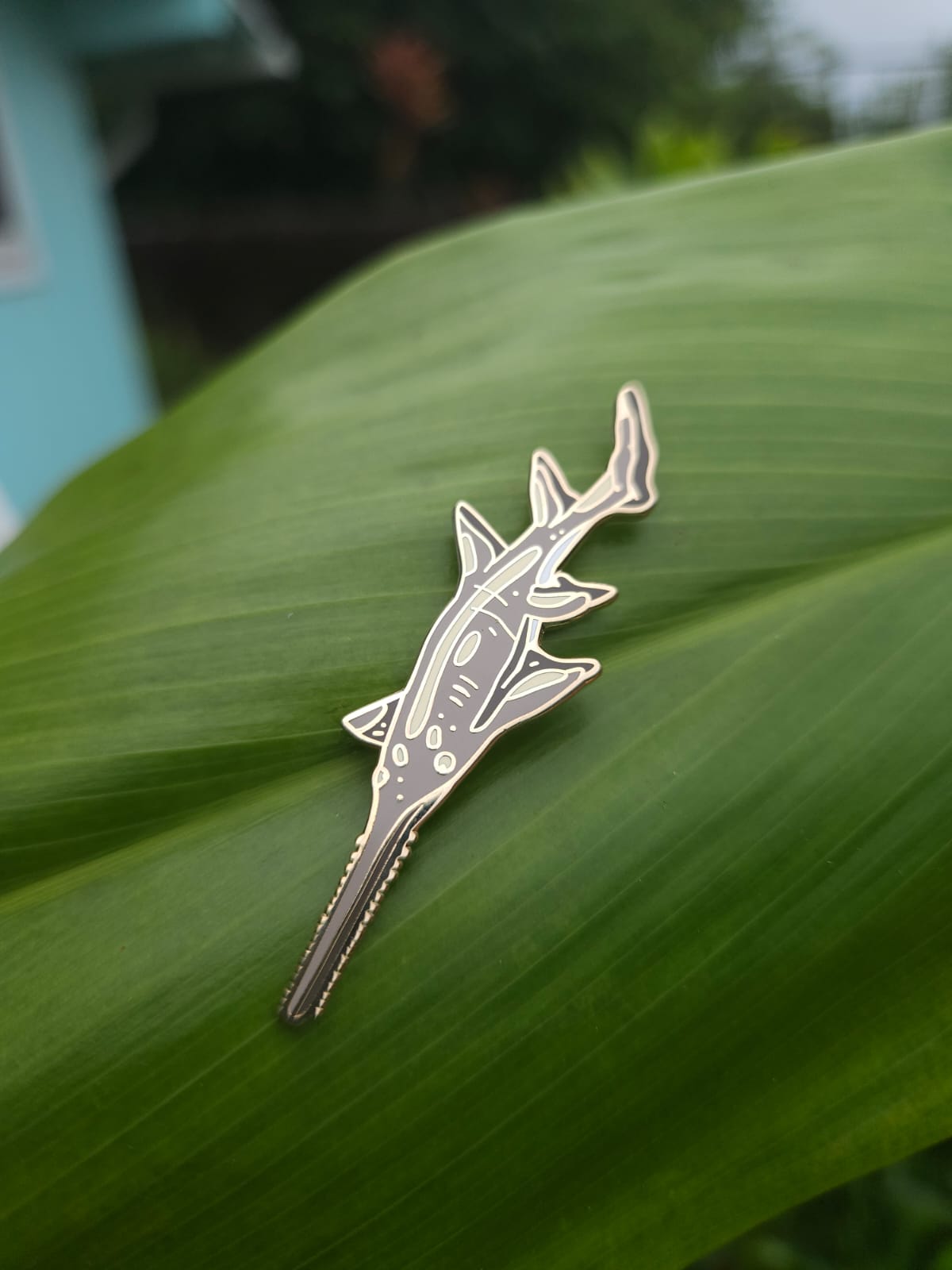 Largetooth Sawfish Pin