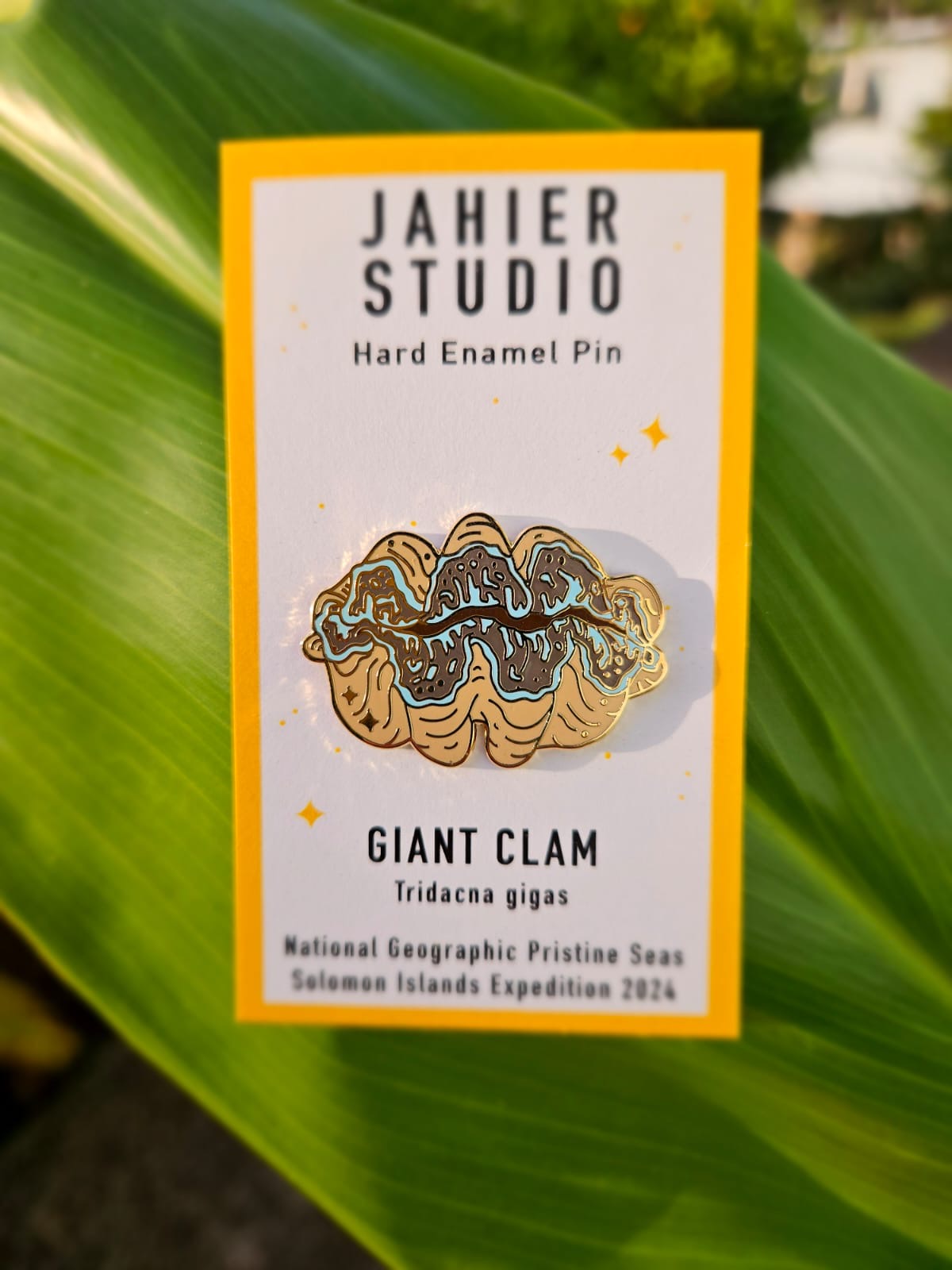 Giant Clam Pin